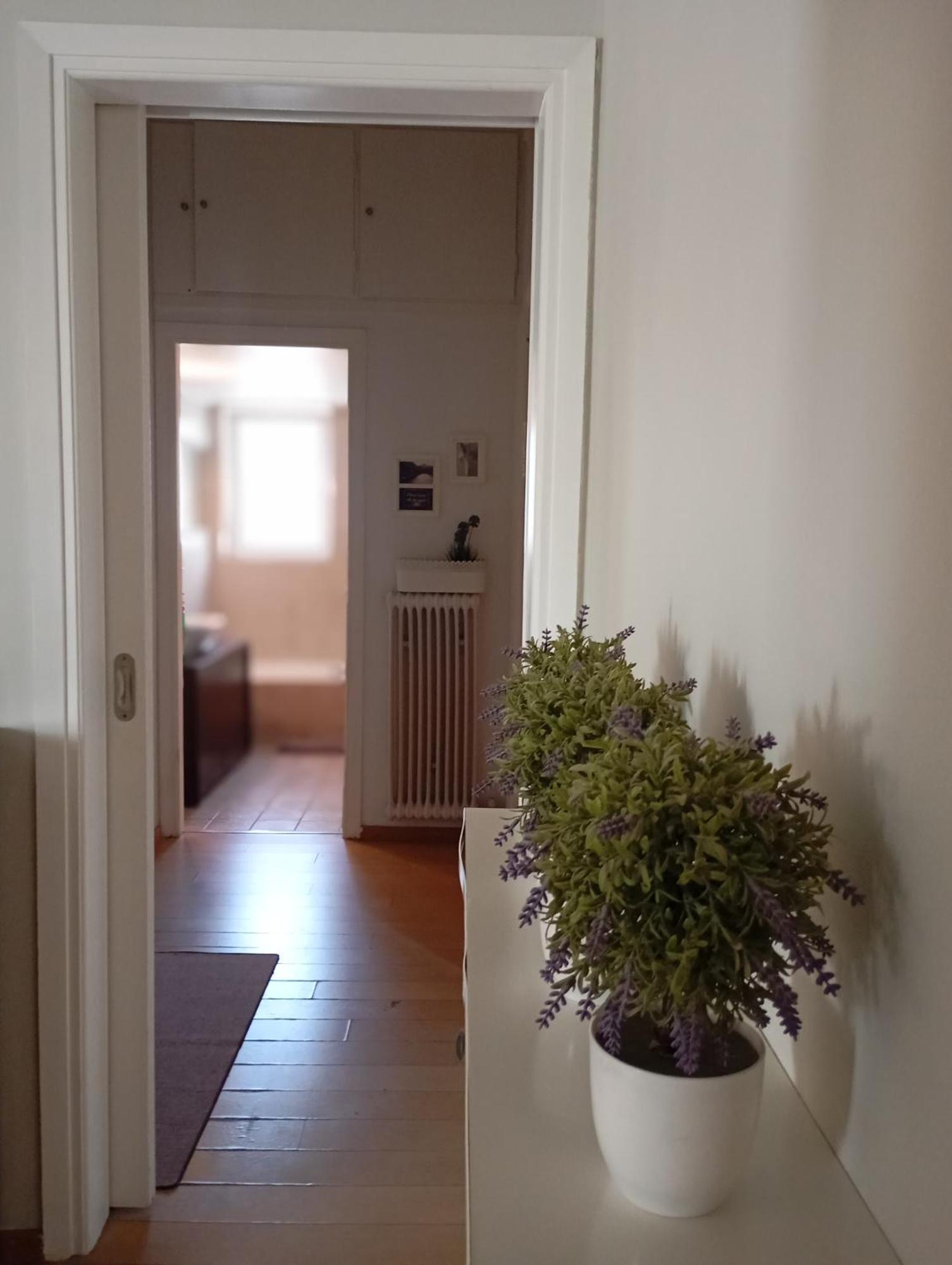 Tiny Little Apartment *